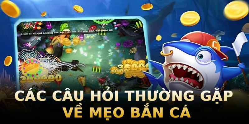 cac-cau-hoi-thuong-gap-ve-meo-ban-ca