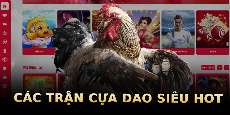 cac-tran-cua-dao-sieu-hot