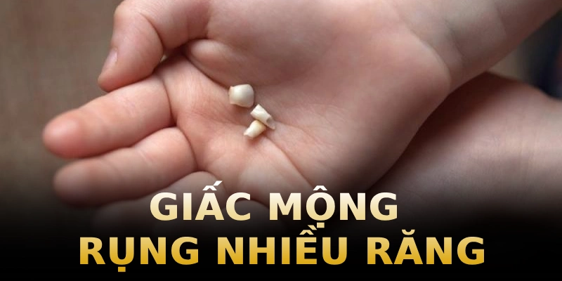 giac-mong-rung-nhieu-rang