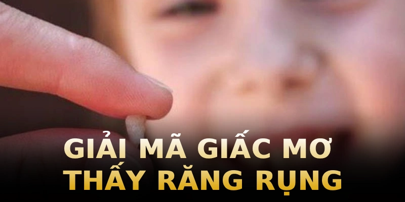 giai-ma-giac-mo-thay-rang-rung