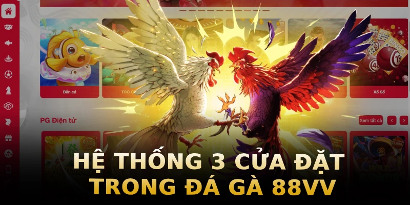 he-thong-3-cua-dat-trong-da-ga-88vv