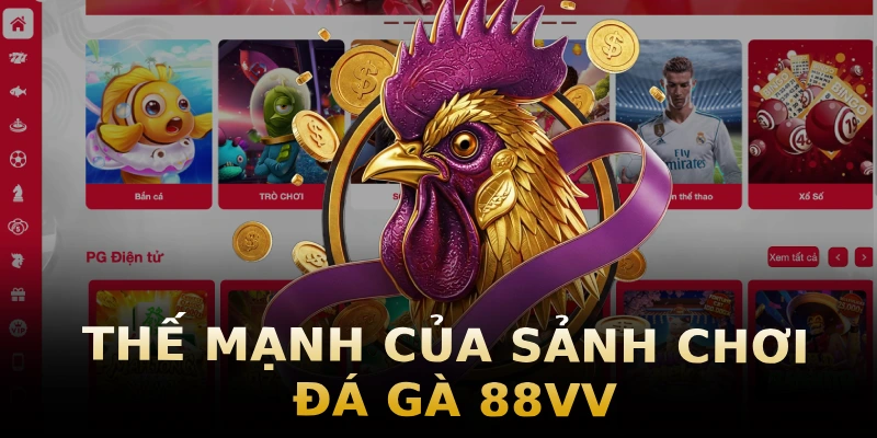 the-manh-cua-sanh-choi-da-ga-88vv